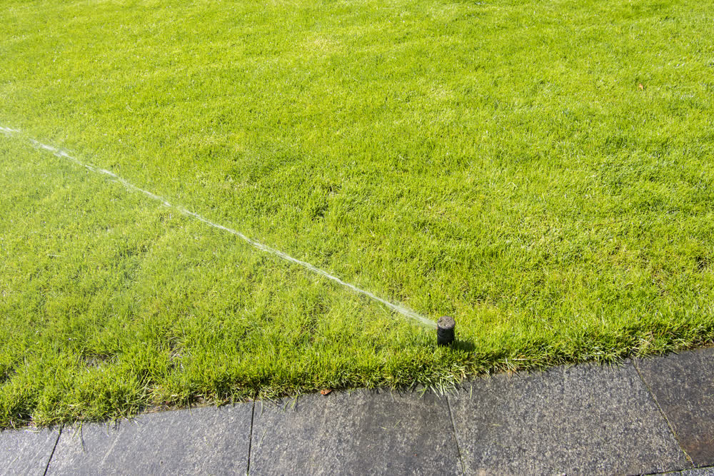 Sprinkler spraying water across lawn 